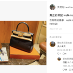 涉監視賴清德之子 張婉瑩豪華生活曝光